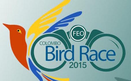 https://roar.world/english/reports/wp-content/uploads/2015/02/colombo-bird-race-feature-banner.jpg